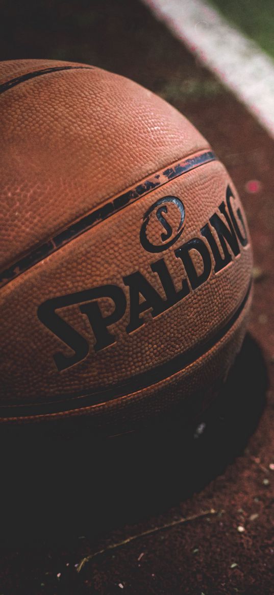 basketball ball, basketball, spalding