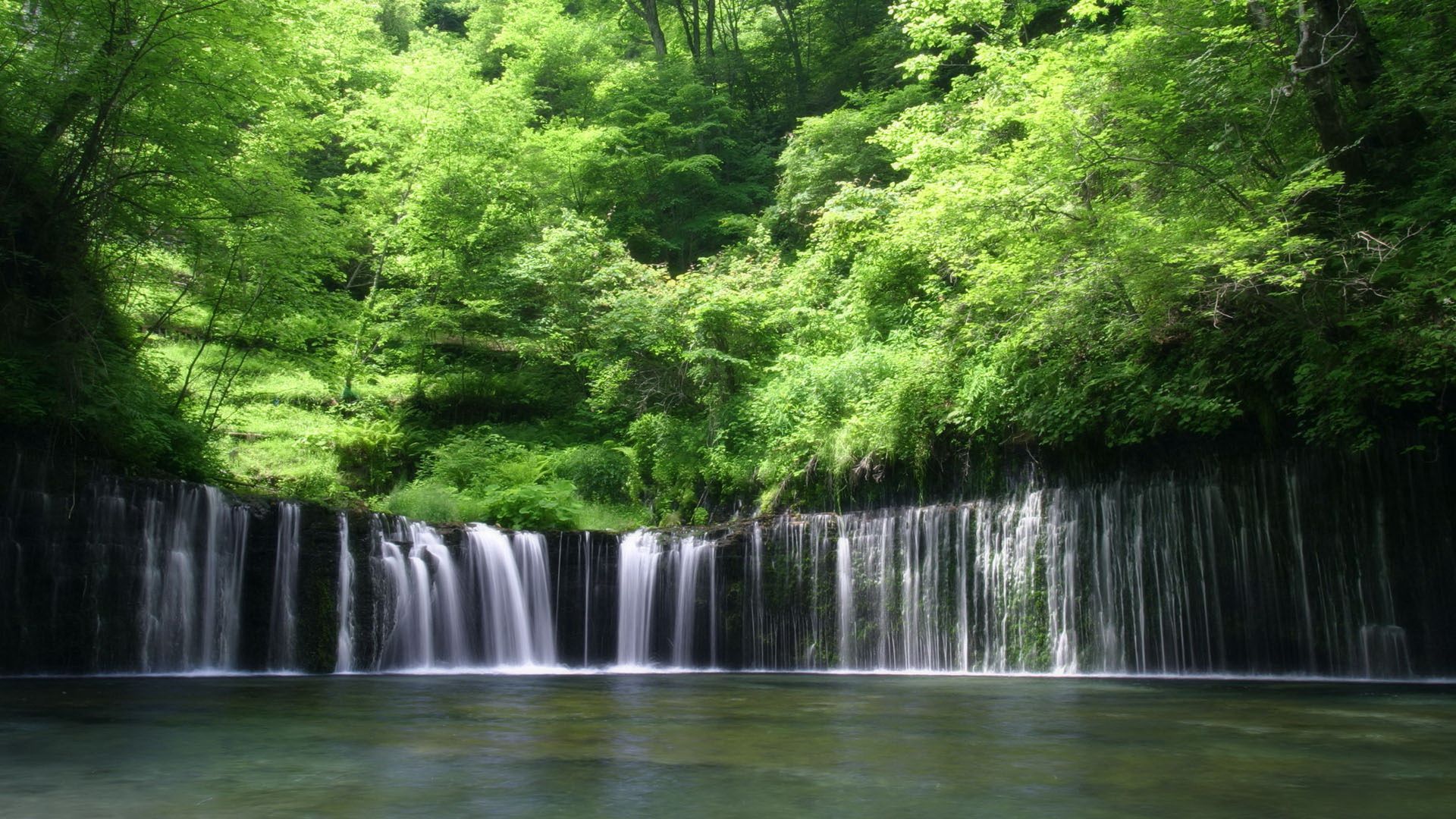 falls, trees, greens, water