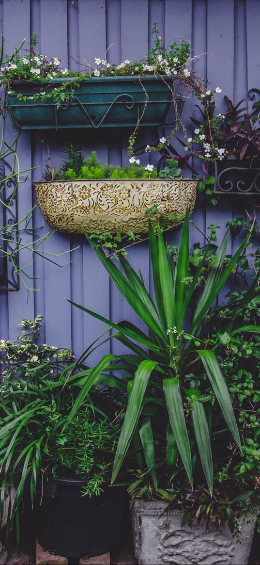 greenhouse, flowers, garden, pots