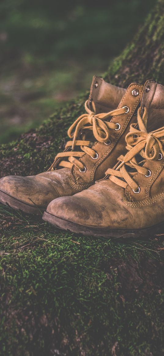 shoes, moss, boots