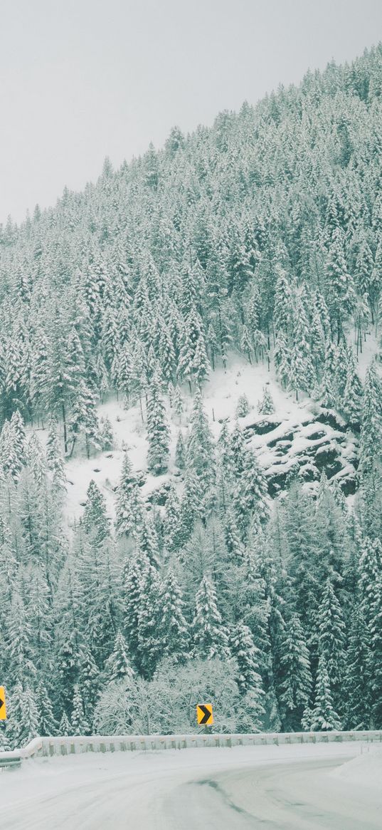 winter, signs, forest, trees, turn, mountains