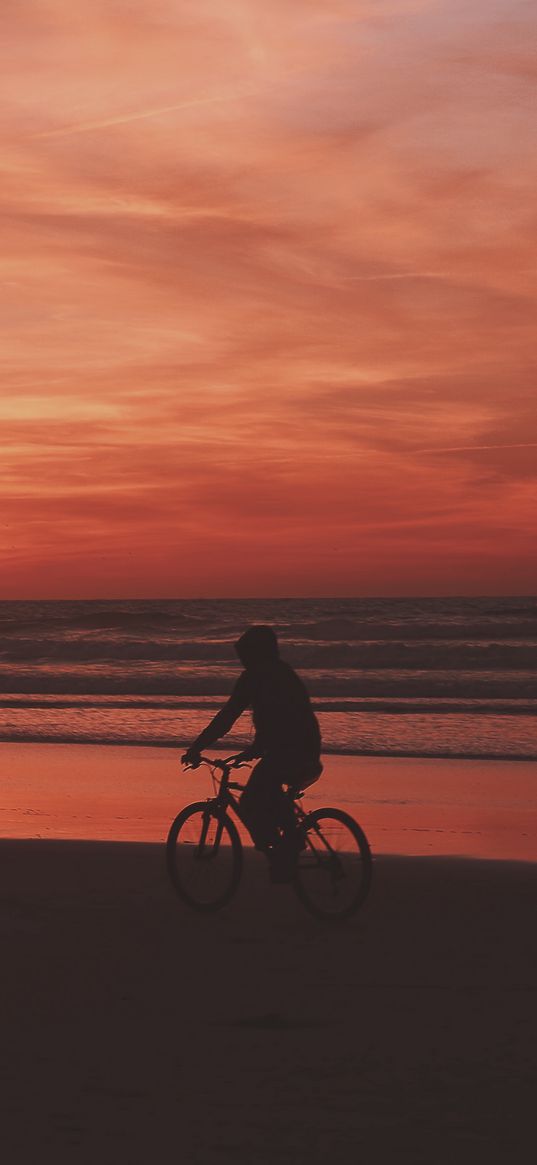 bicyclist, sea, shore, sunset