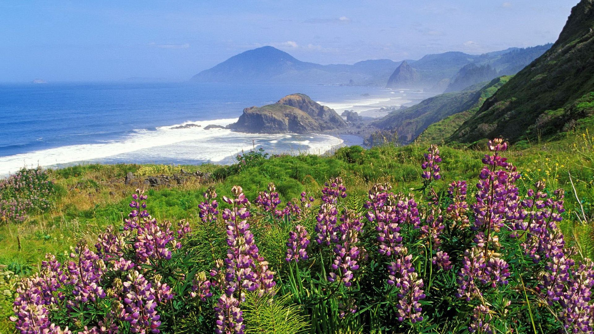 mountains, coast, sea, waves, flowers, greens