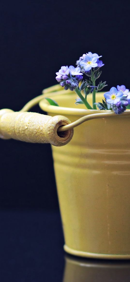 flowers, bucket, decorative