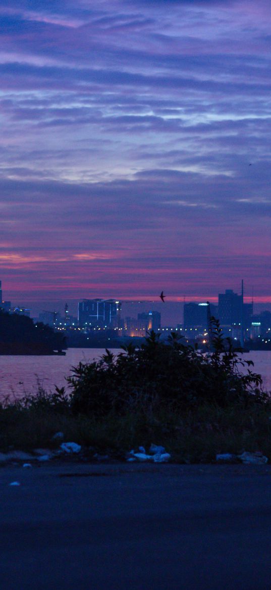 night city, city lights, river, skyscrapers