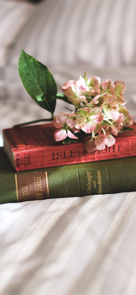 books, flowers, bed, inspiration