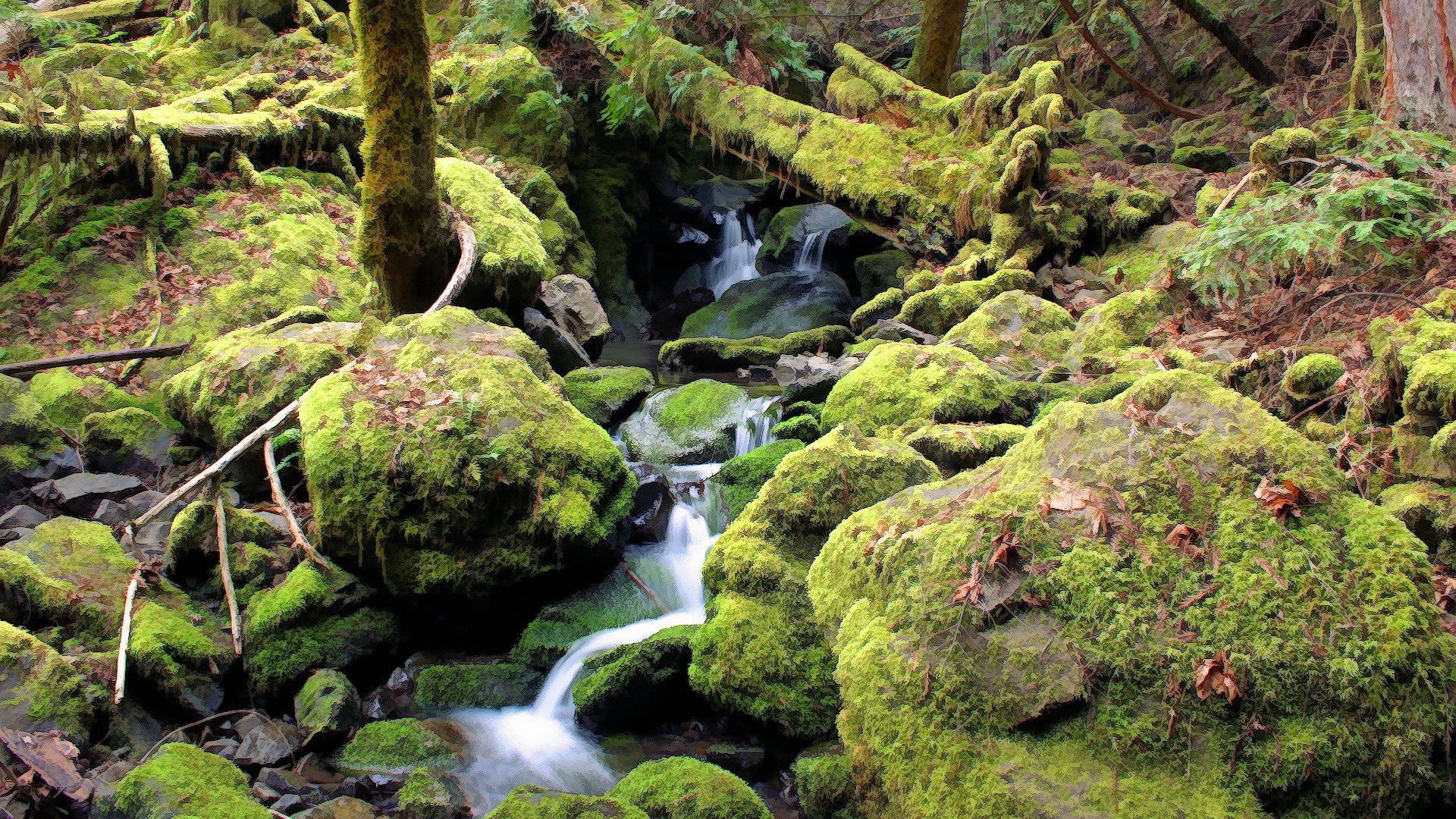 stream, moss, stones, wood