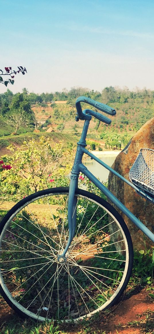 bicycle, basket, flowers