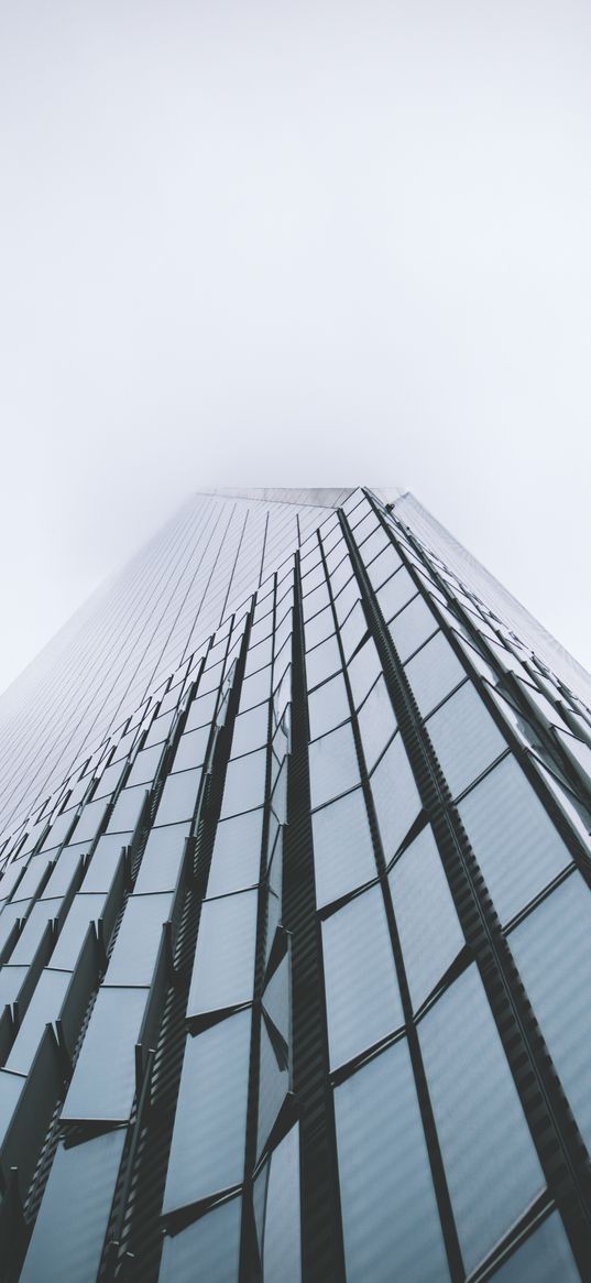 skyscraper, building, fog