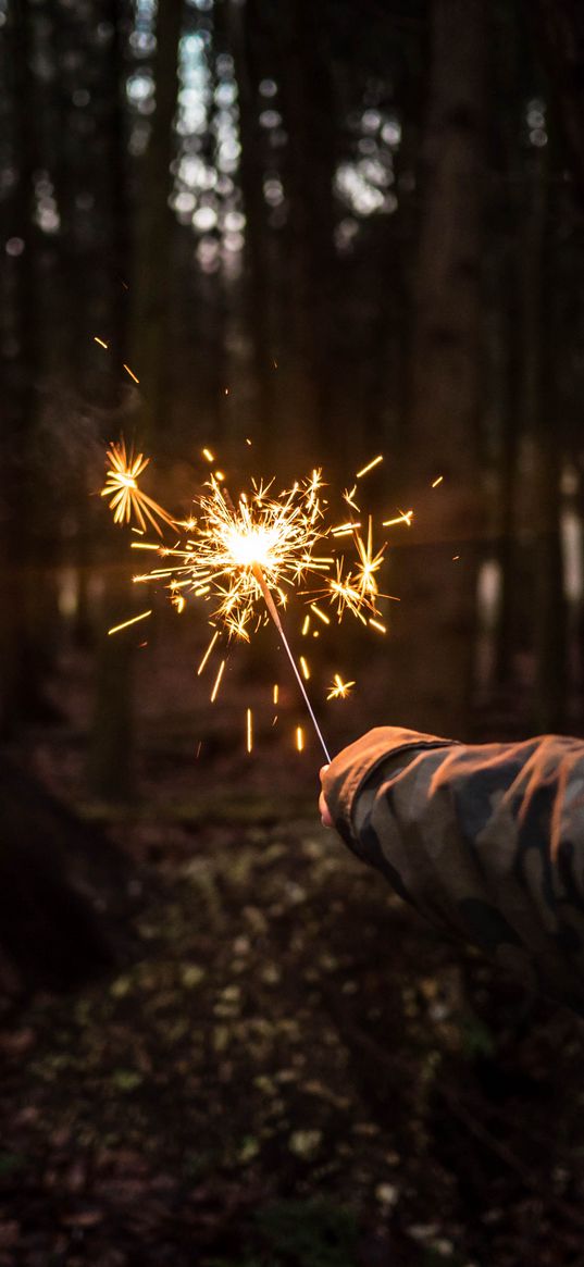 bengali fire, hand, night, forest