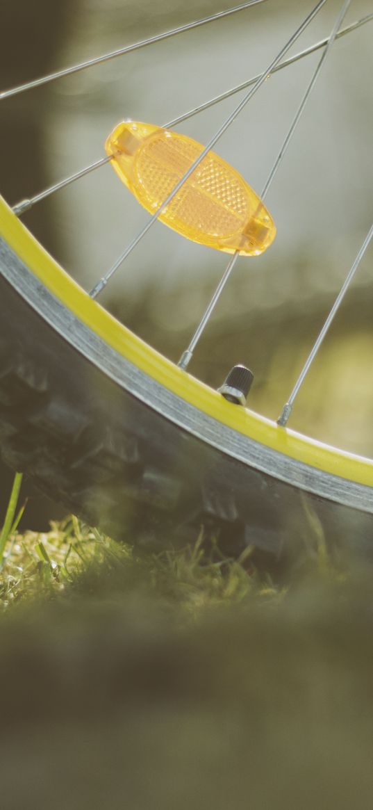 wheel, bicycle, spokes