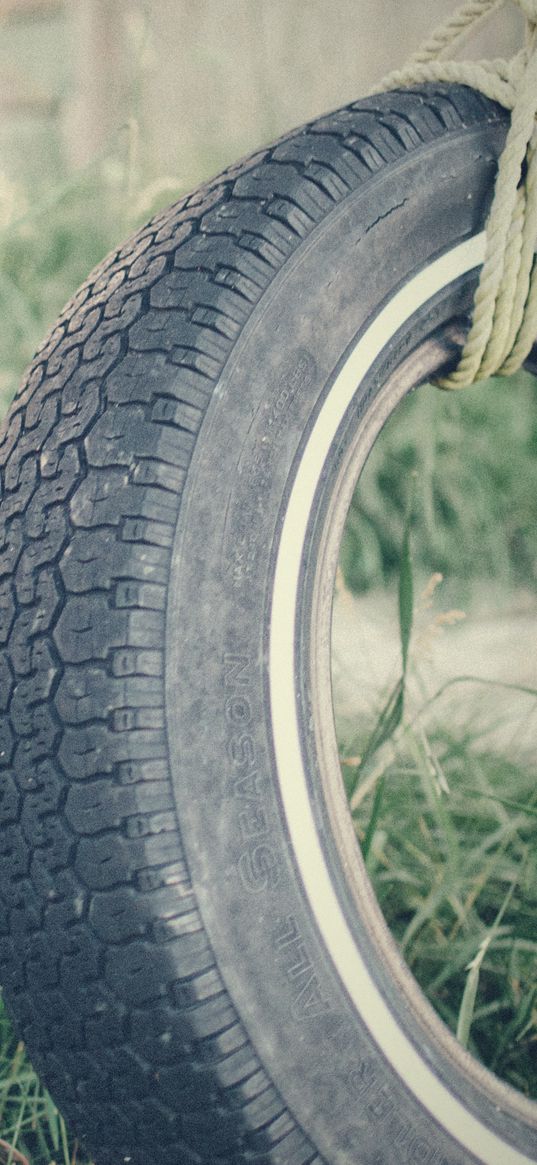 tire, rope, grass