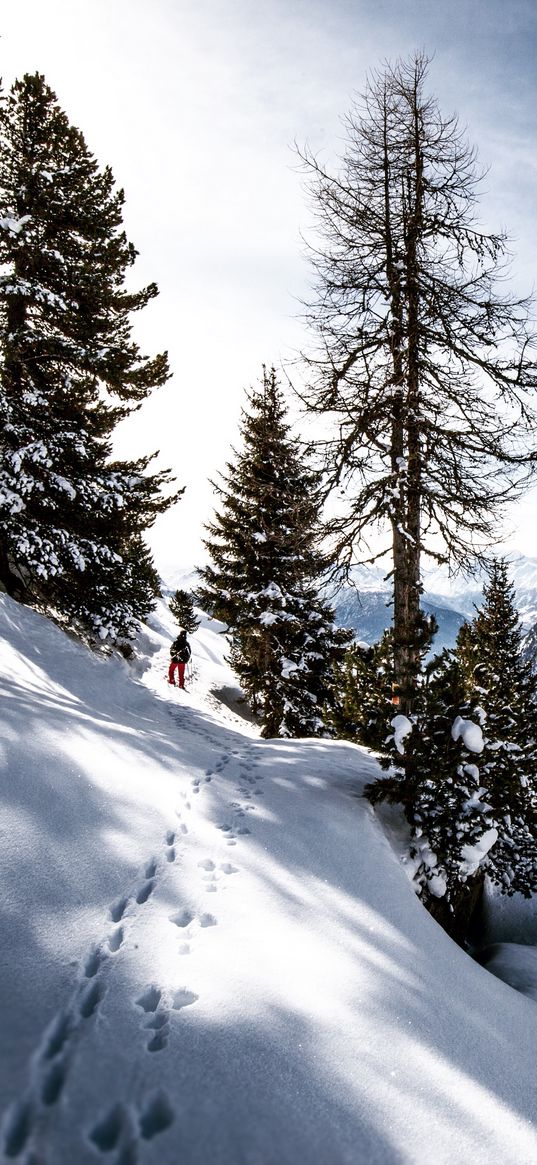 skier, mountains, snow, traces