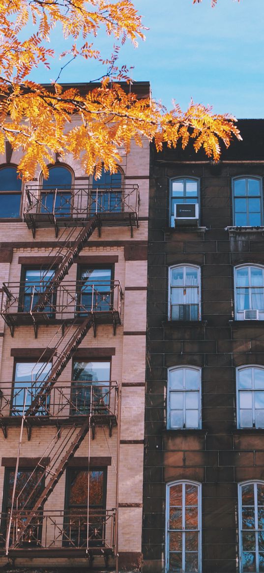 building, windows, stairs, facade, autumn