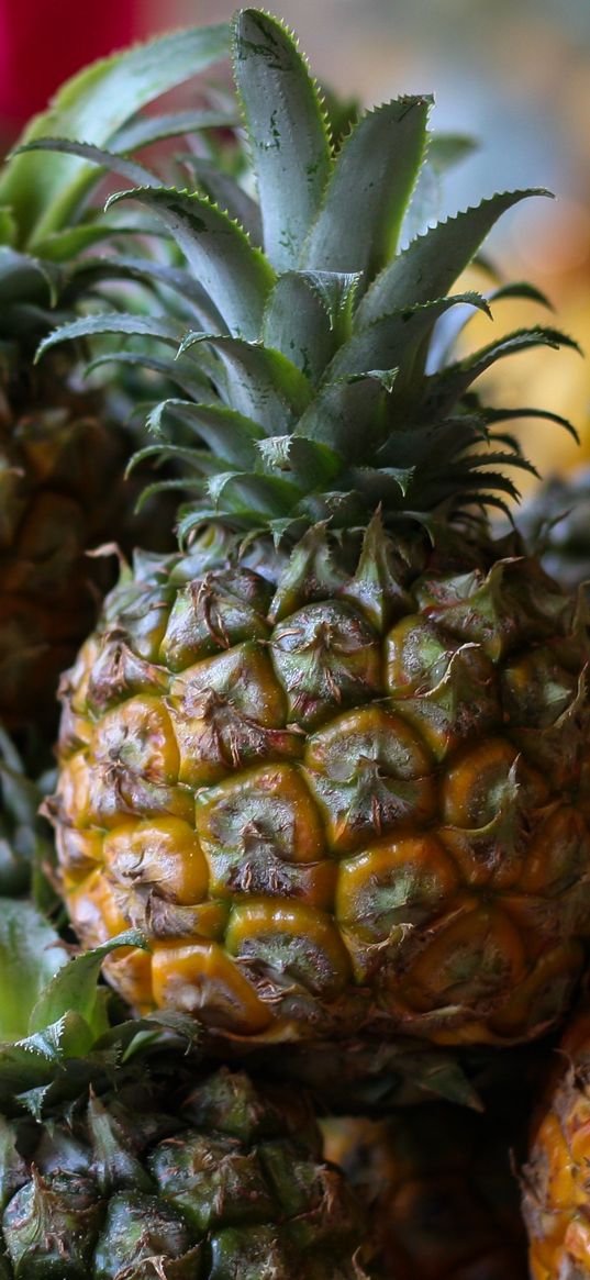 pineapple, fruit, market