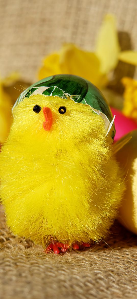 chick, eggs, easter