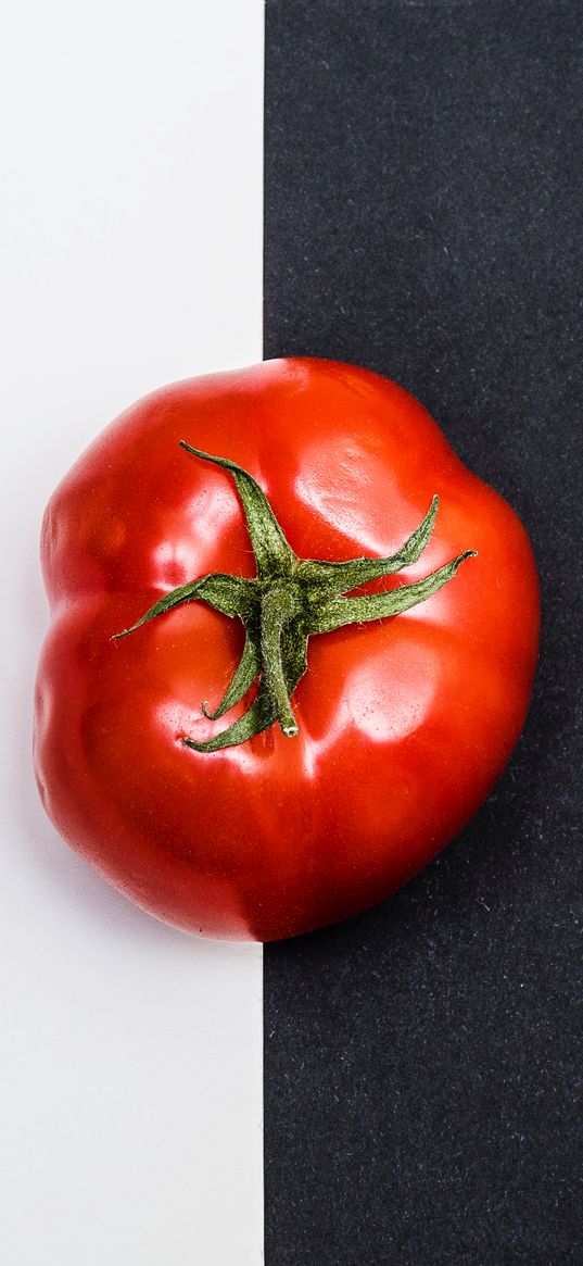 tomato, vegetable, minimalism