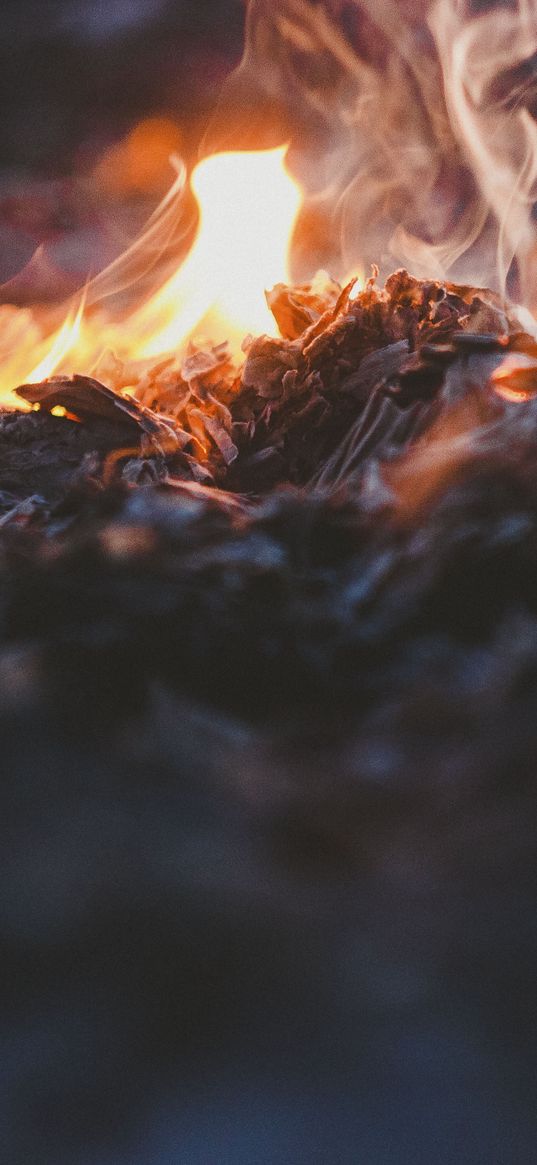 bonfire, fire, ashes