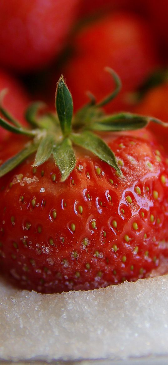 strawberries, berries, sweet, sugar