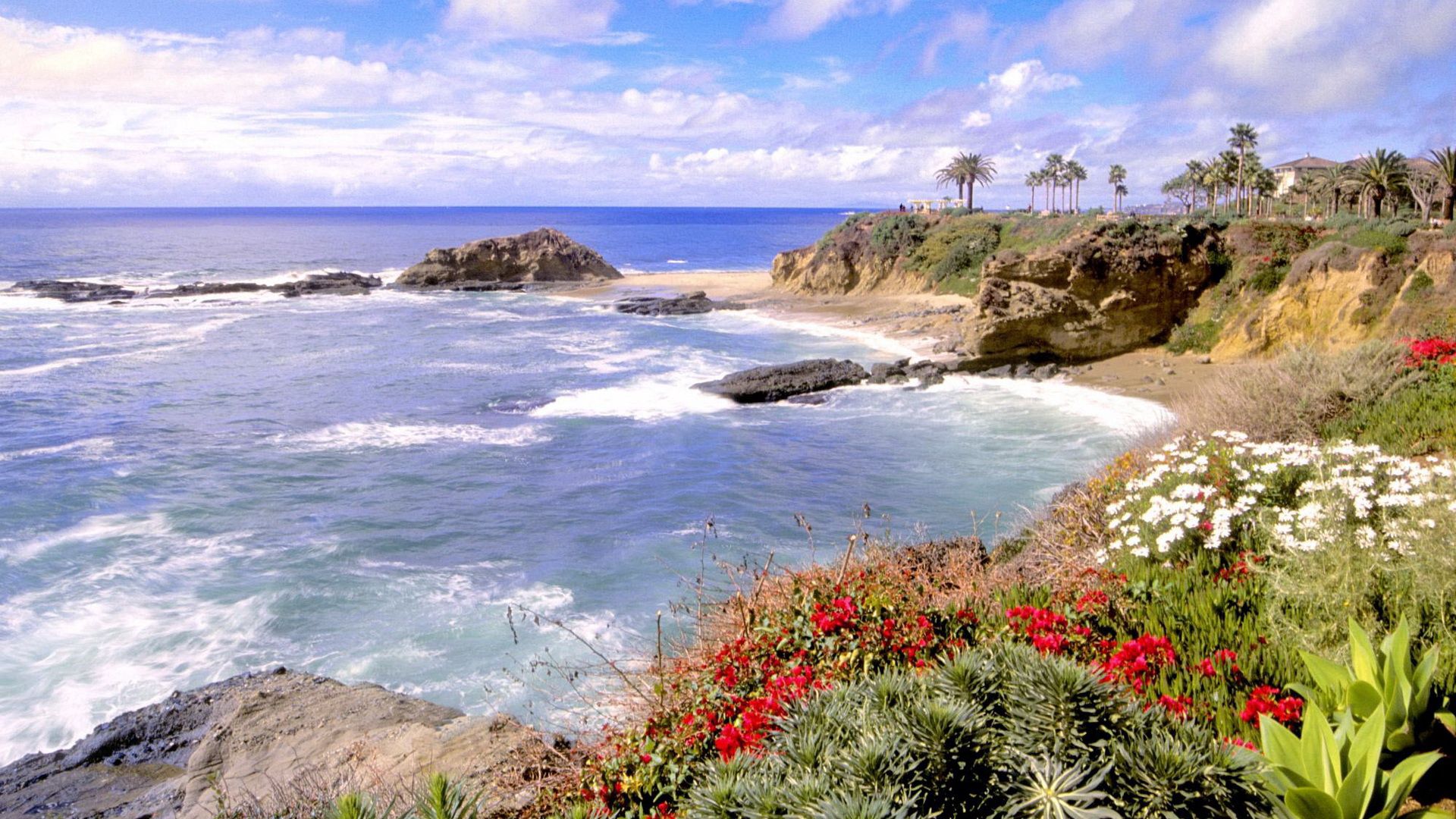 coast, sea, flowers, multi-colored, waves