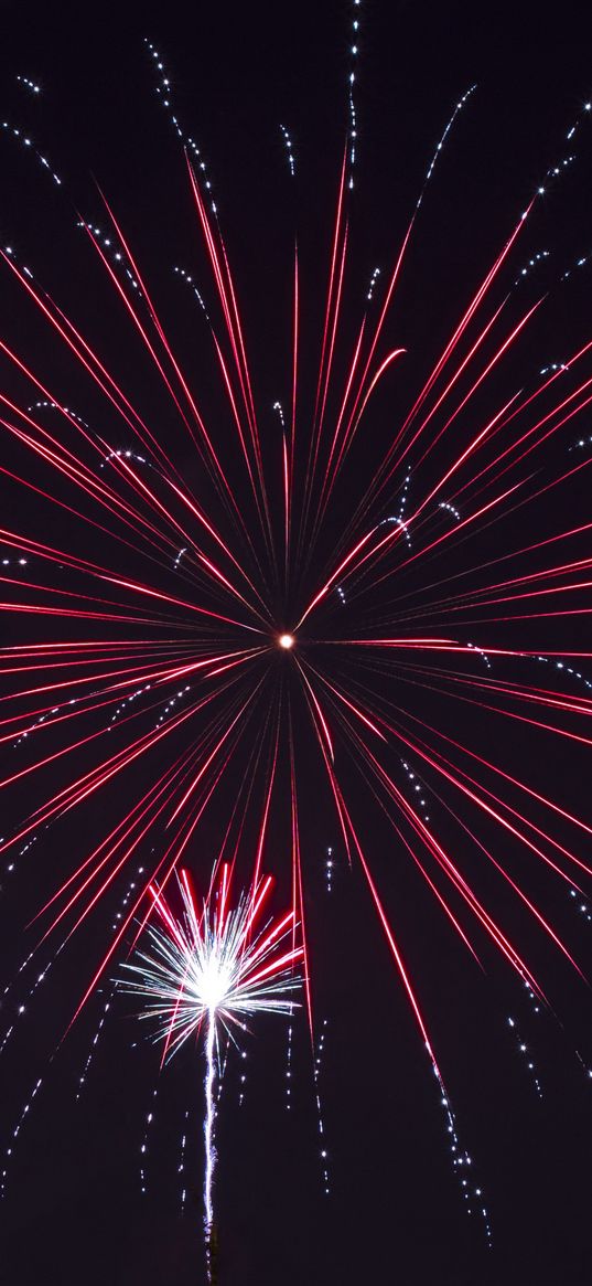 fireworks, salute, holiday, night, sky