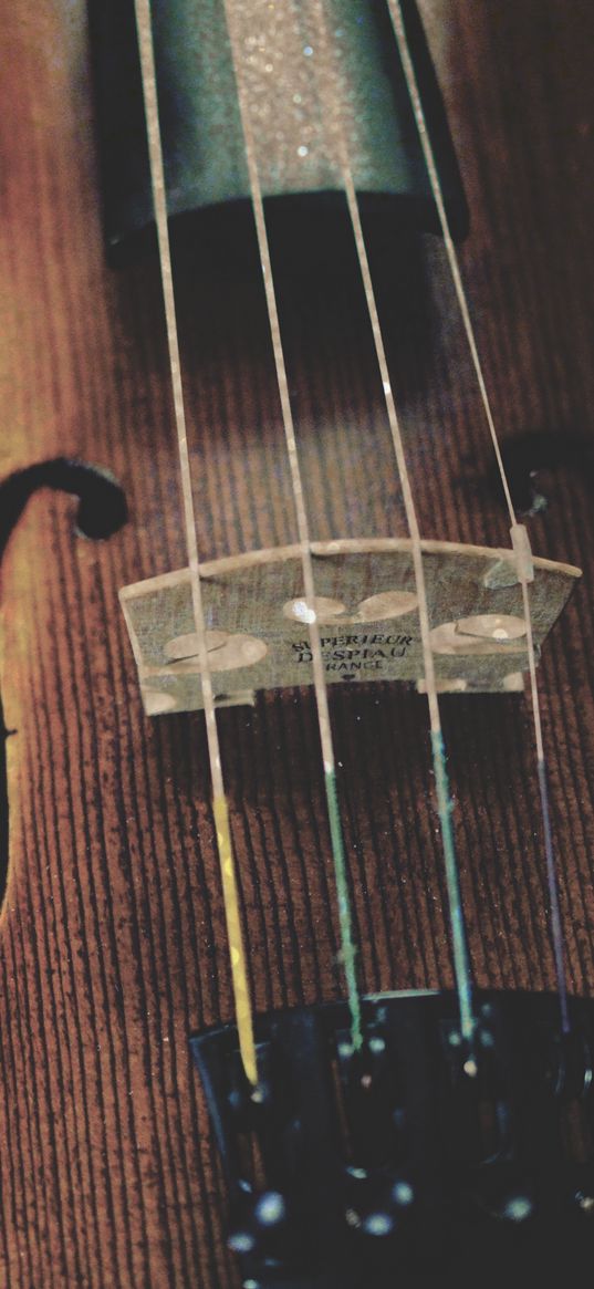 violin, strings, wooden