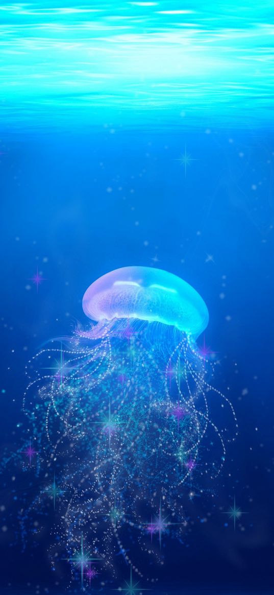 jellyfish, underwater world, swim, tentacles