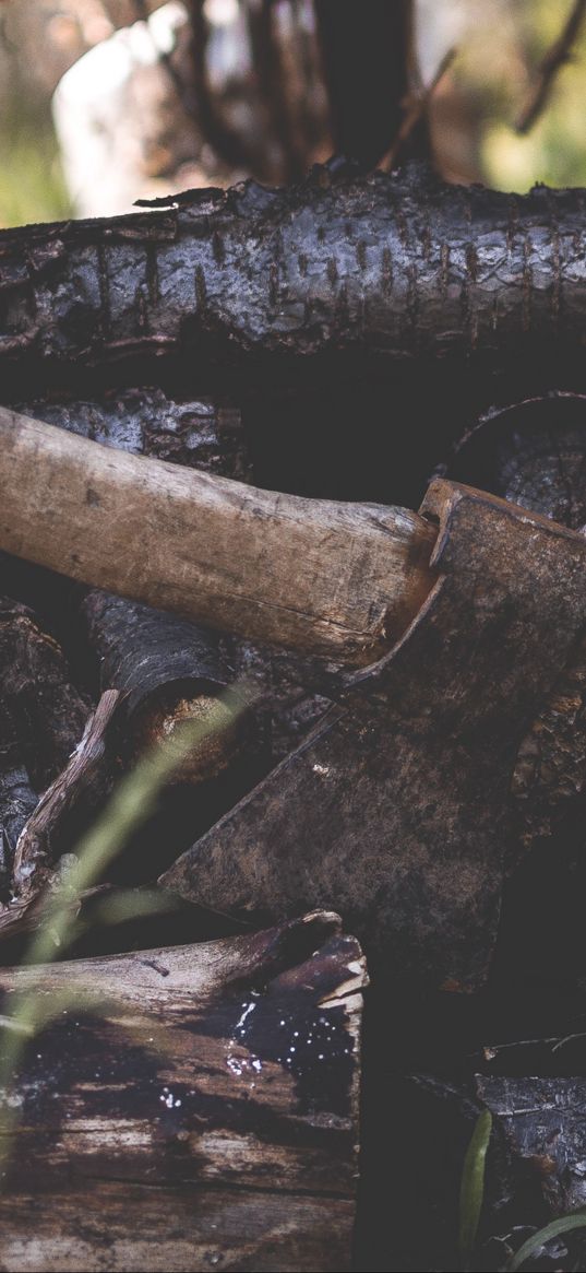 ax, firewood, logs