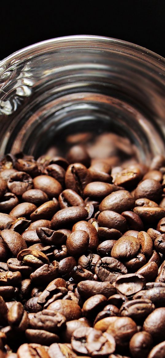 coffee beans, cup, fried