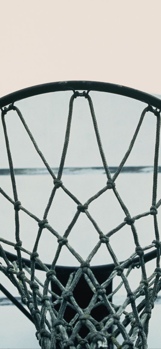 basketball, net, ring