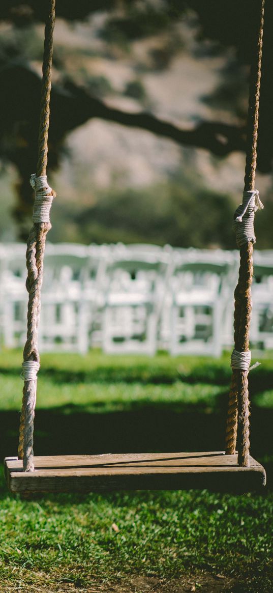 swings, grass, celebration