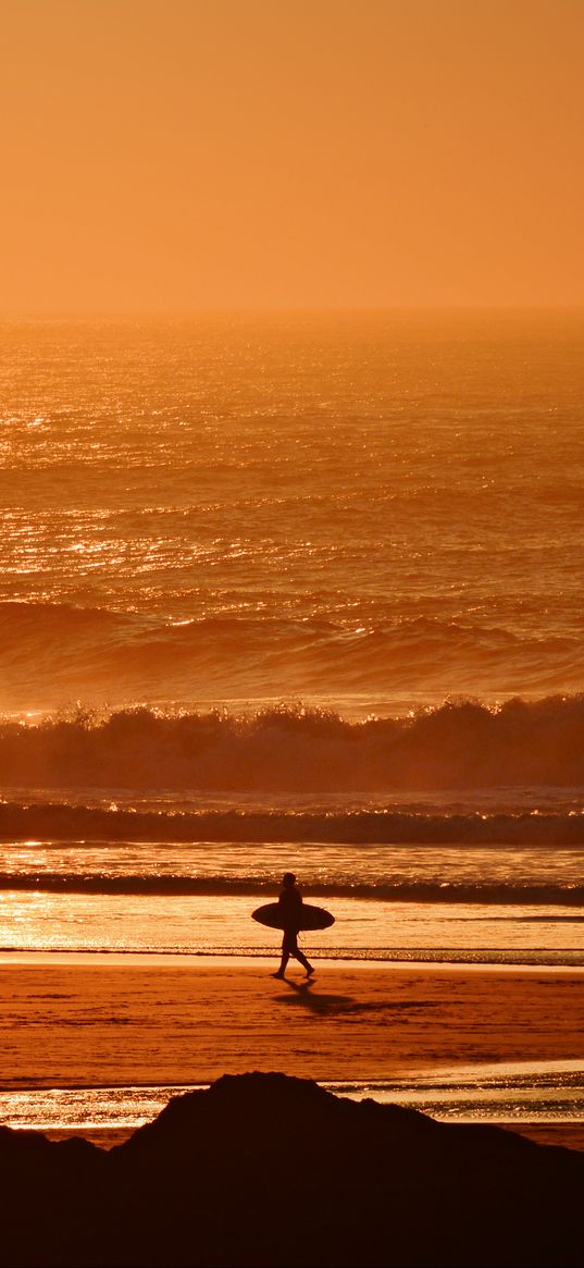 surfer, waves, sunset, ocean