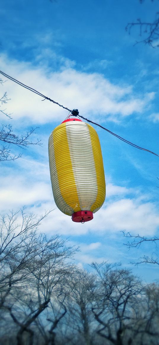 chinese lantern, sky, branches