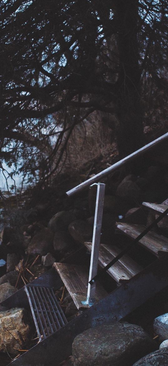 stairs, shore, river, trees