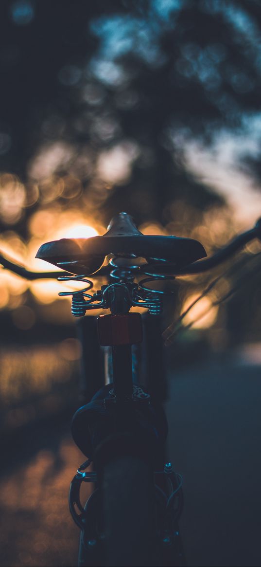 bicycle, seat, evening