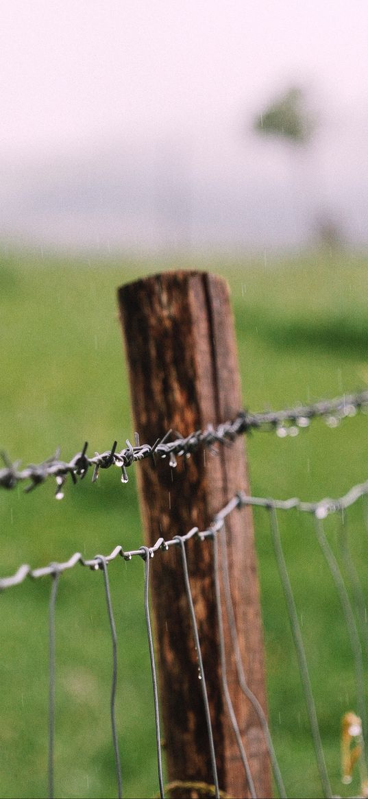 barbed wire, fence, drops