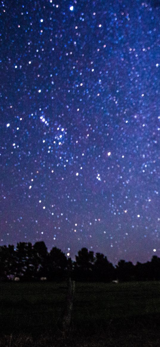 starry sky, night, glitter, purple