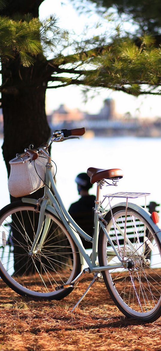 bicycle, autumn, trees, foliage, river