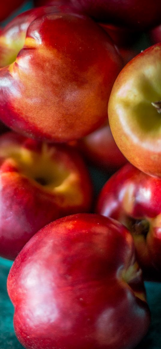 nectarines, fruit, plate