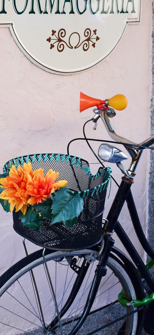 bicycle, basket, flowers