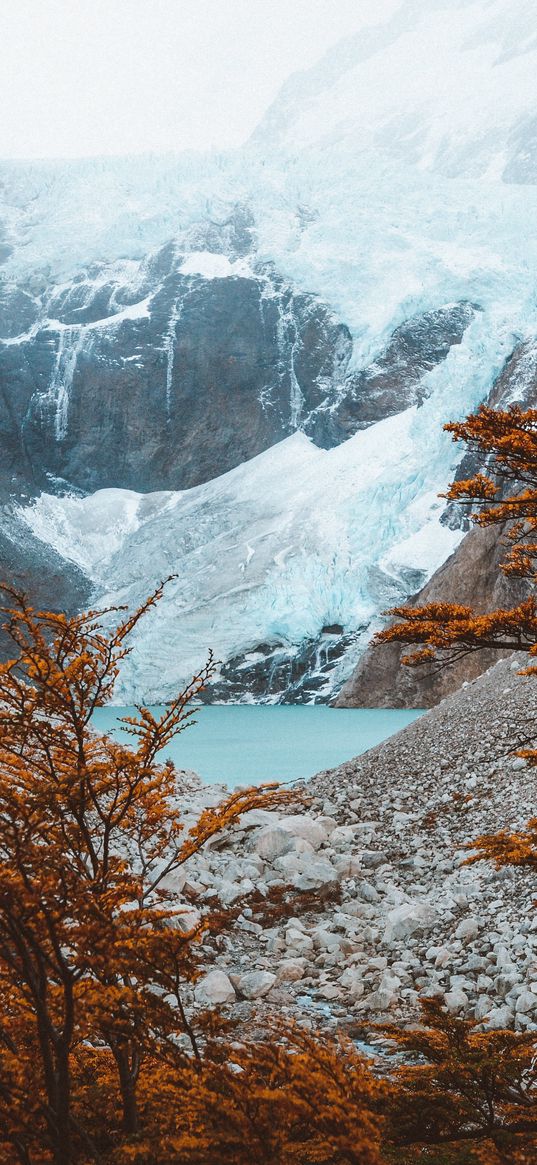 el chalten, argentina, mountains, lake, trees