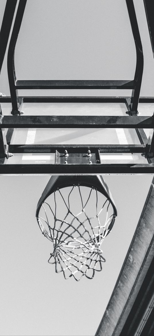 basketball, ring, mesh, bw