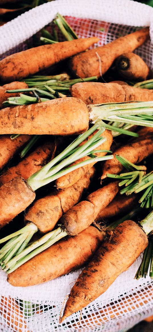 carrot, bag, vegetables