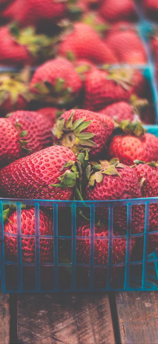 strawberries, berries, ripe, baskets, packing