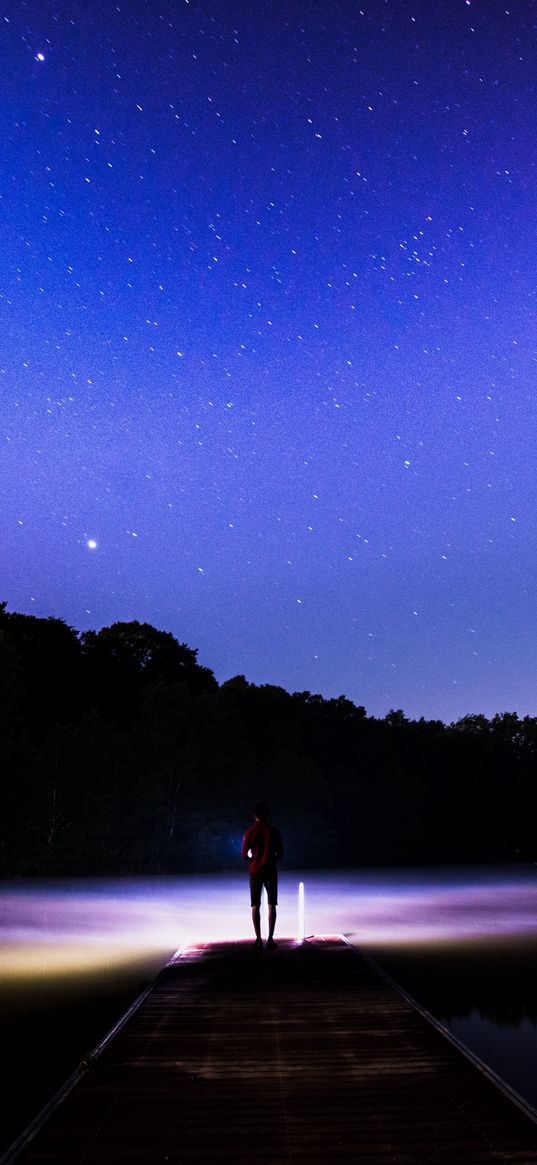 starry sky, silhouette, stars, night, fog