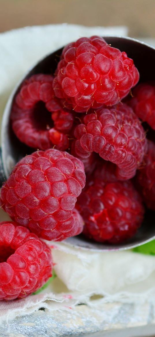 raspberry, berry, ripe, juicy, appetizing