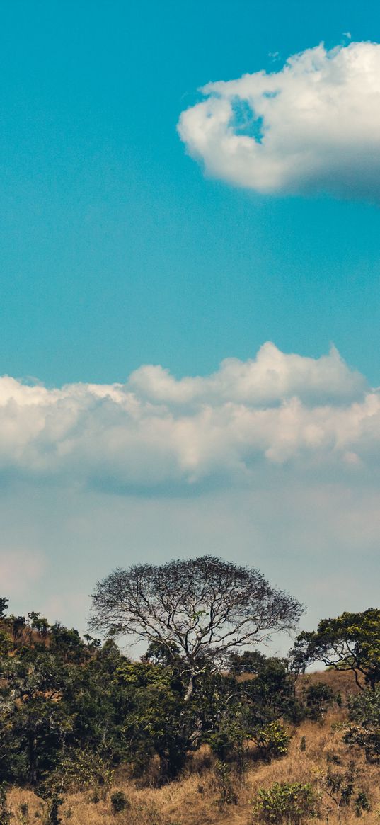 africa, hills, trees, clouds