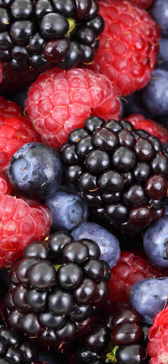 raspberries, blackberries, blueberries, berries