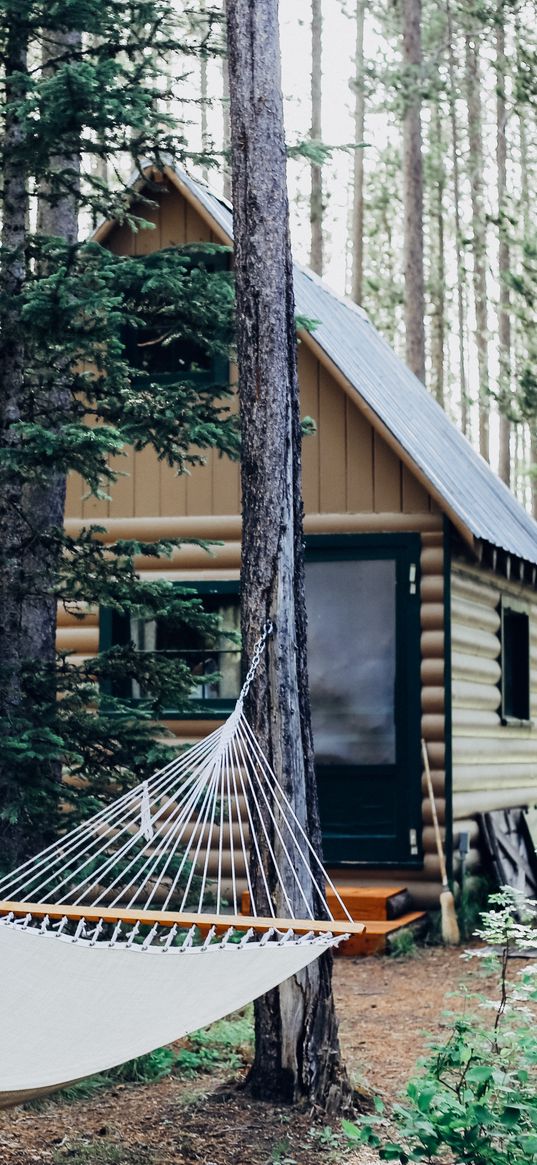 hammock, forest, structure