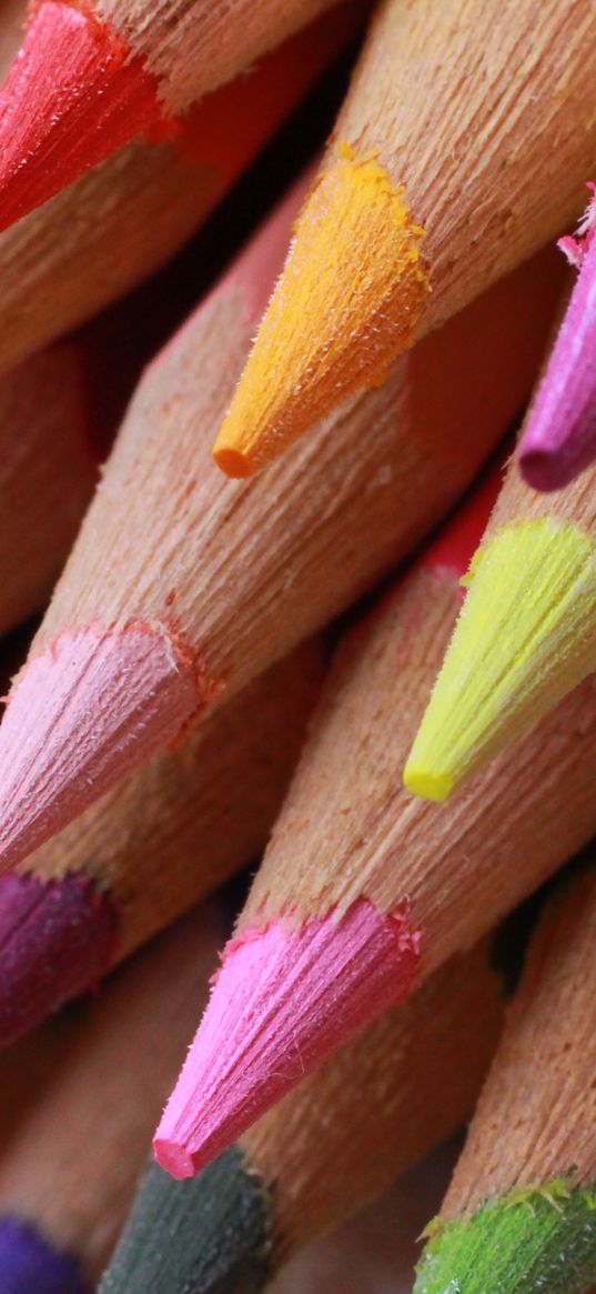 colored pencils, sharpened, colorful, pointed